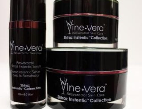 All You Needed to Know About the Vine Vera Shiraz Range